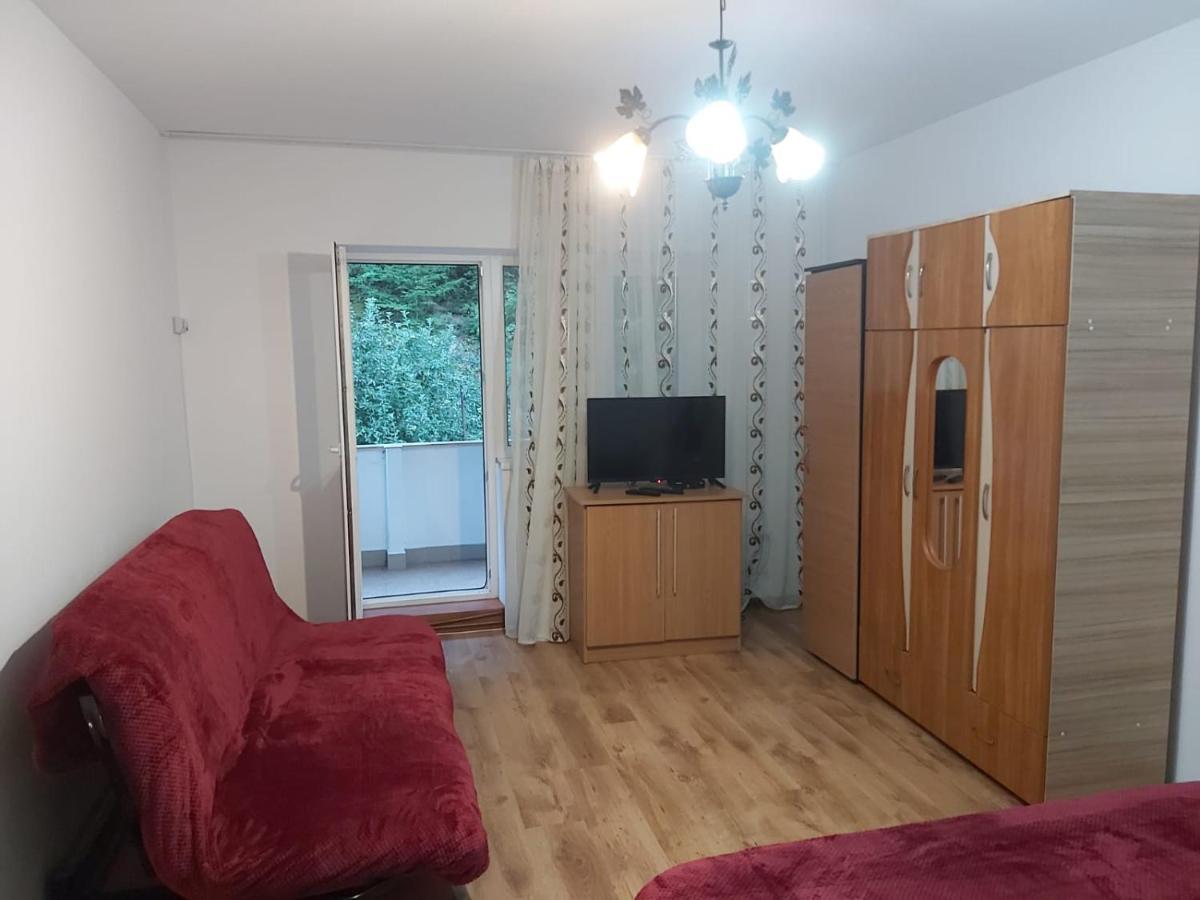 Apartament Nemira Slănic-Moldova Exterior foto